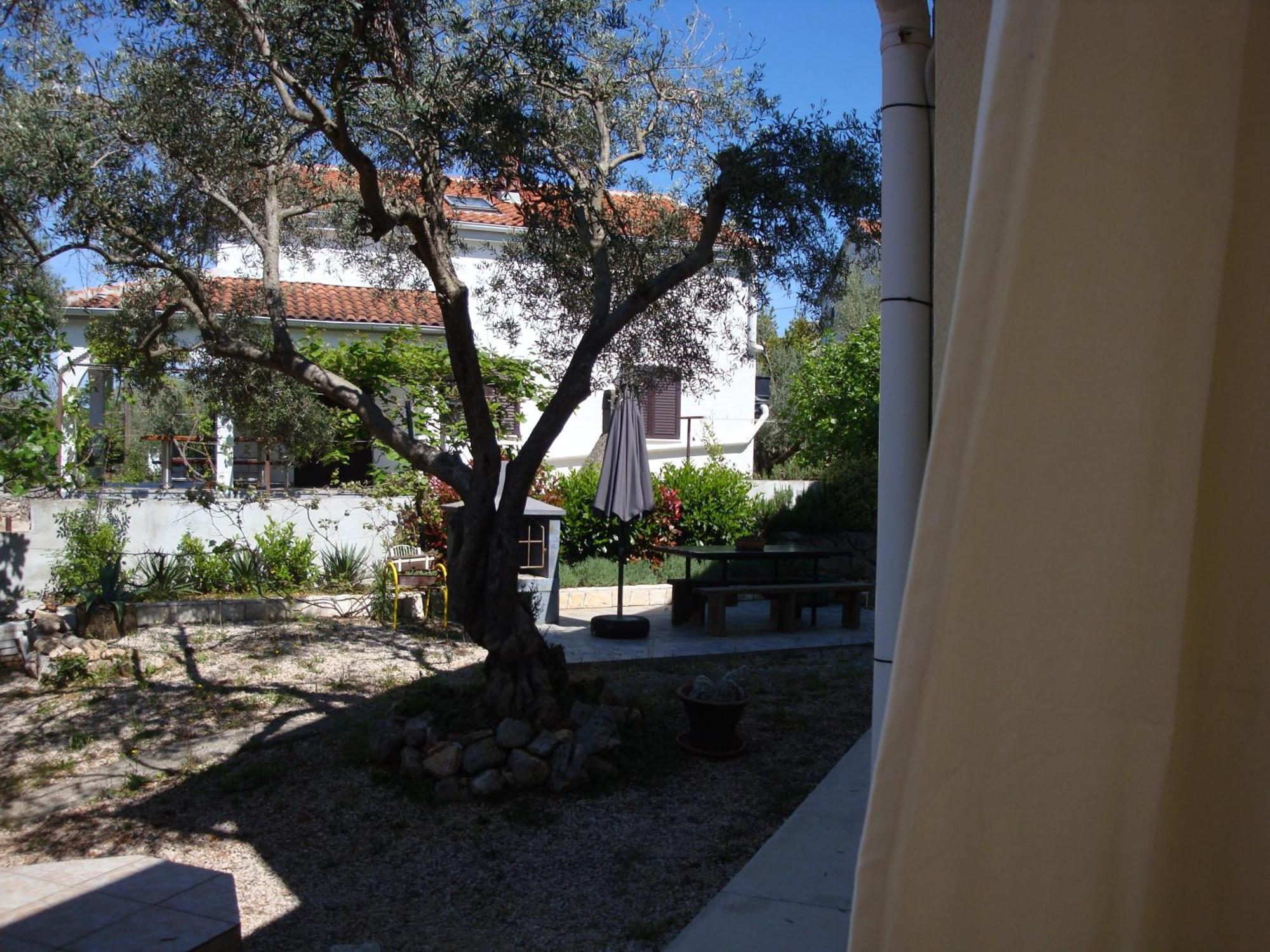 Apartments Olea Pinezici  Exterior photo