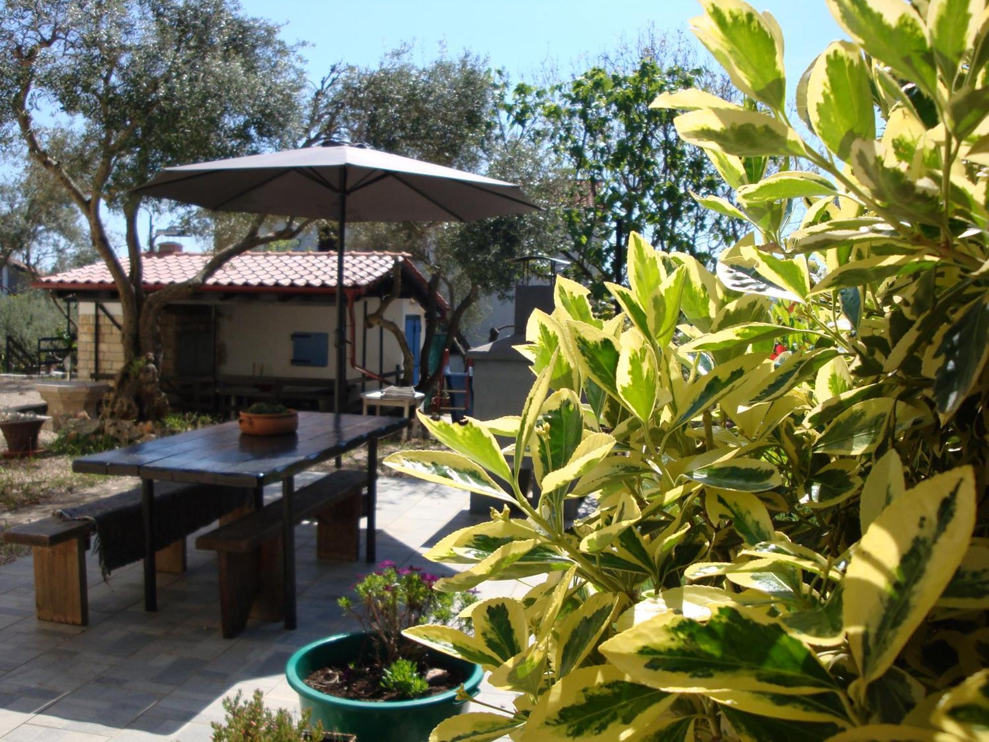 Apartments Olea Pinezici  Exterior photo