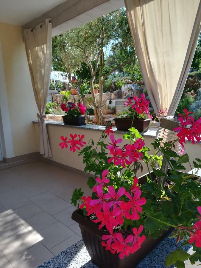 Apartments Olea Pinezici  Exterior photo